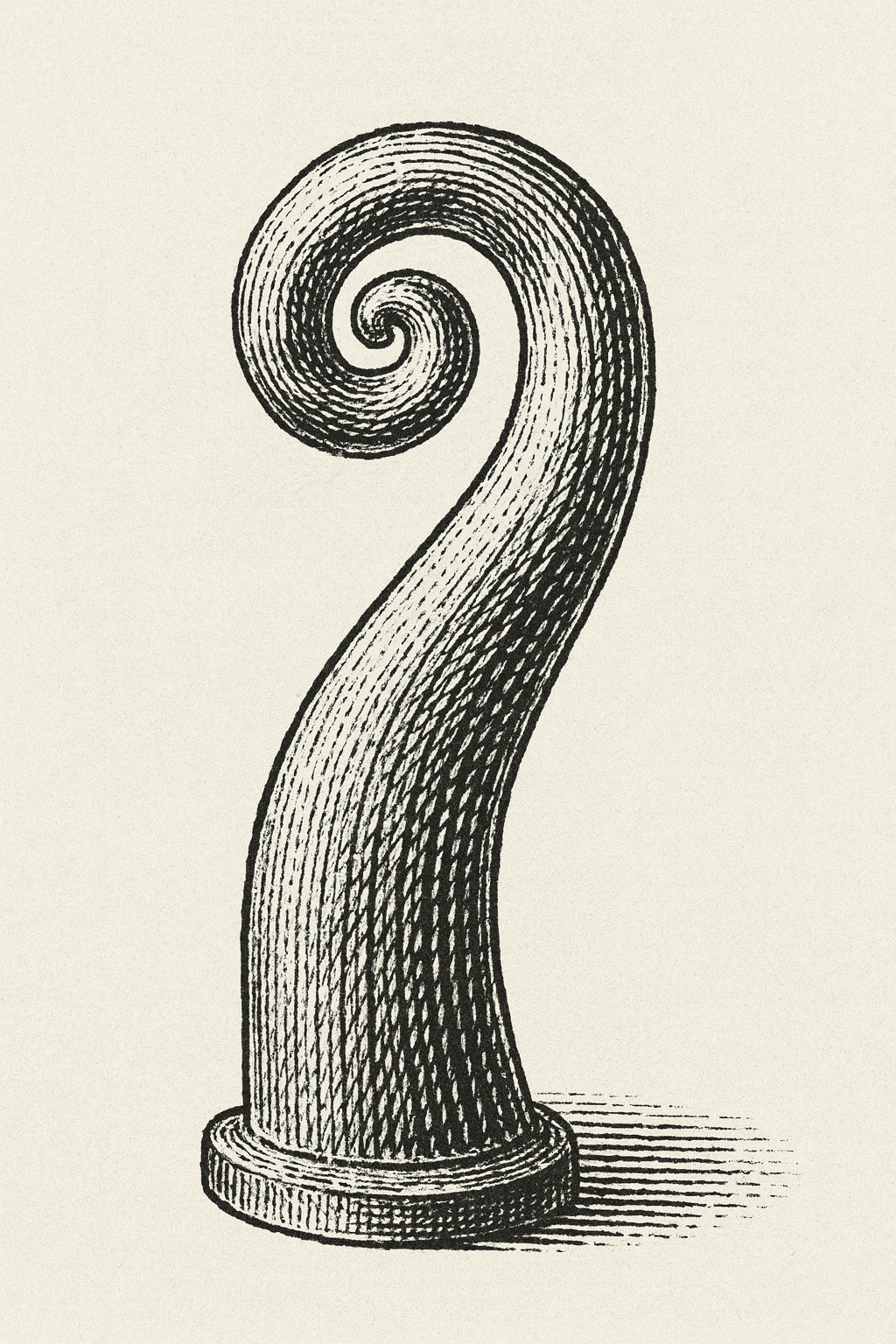 Civic Koru (punga peke)